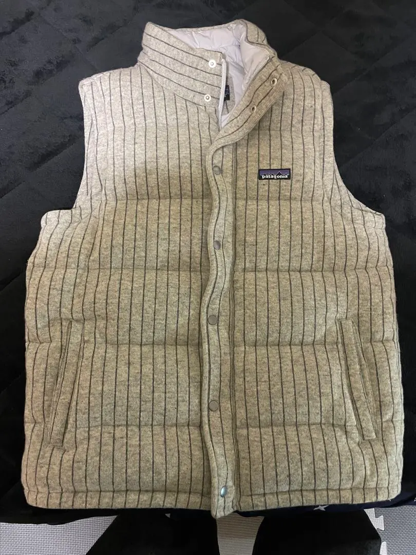 2026年最新】パタゴニア ダウンベスト ストライプの人気アイテム