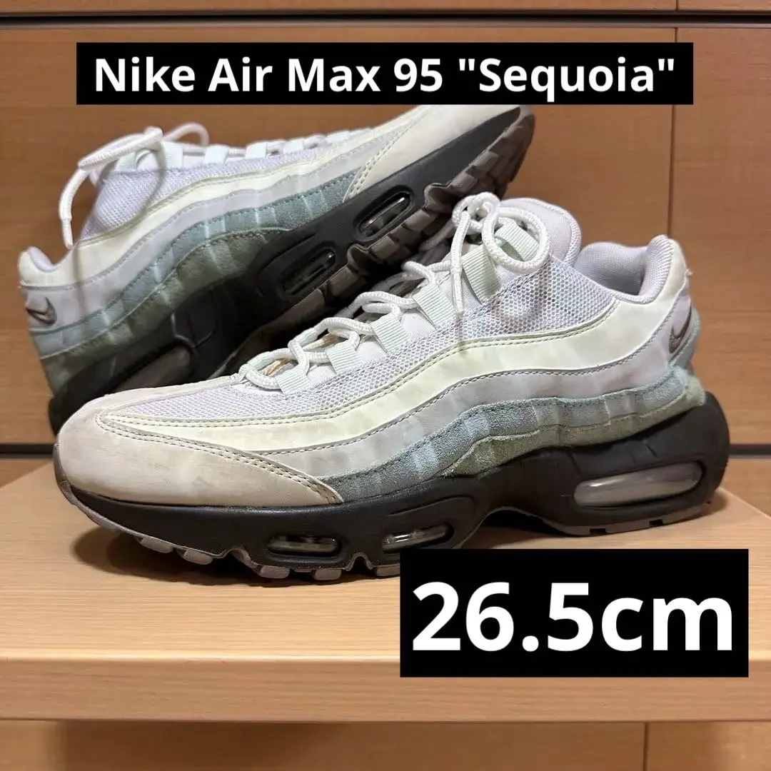 2026年最新】airmax95 sequoiaの人気アイテム - メルカリ
