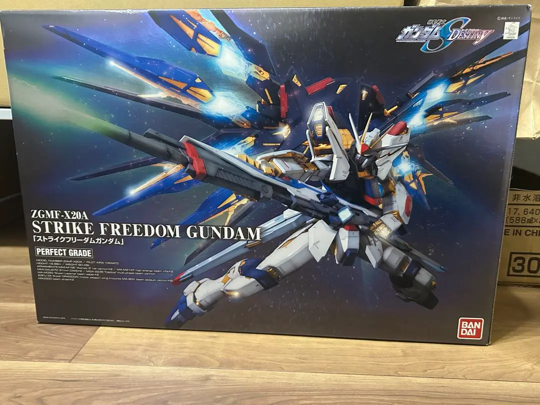2026年最新】PG 1/60 ZGMF-X20A ストライクフリーダムガンダム の人気