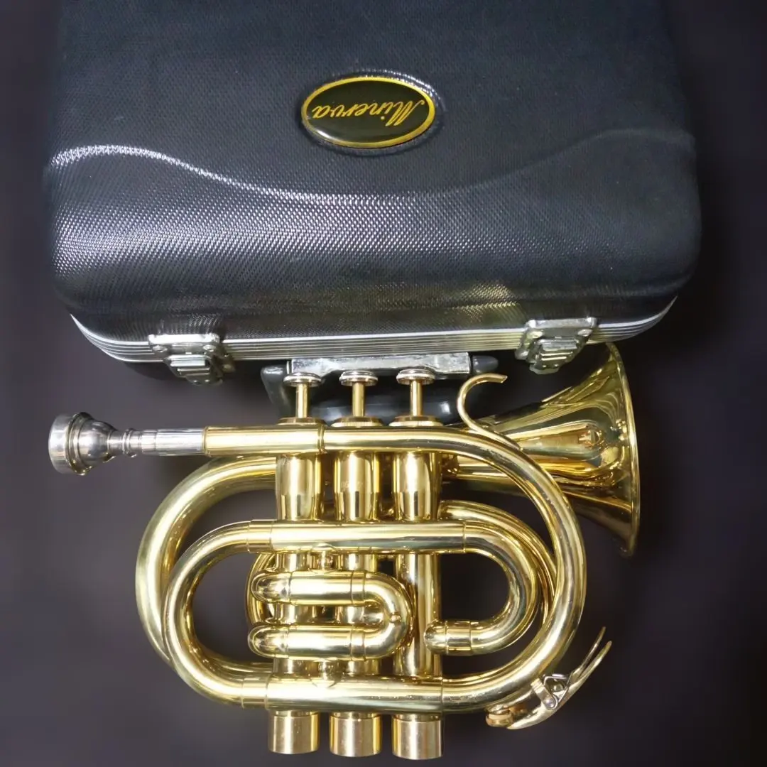 2026年最新】minerva トランペットの人気アイテム - メルカリ