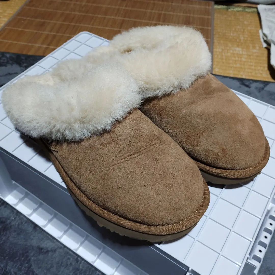 2026年最新】クラゲットの人気アイテム - メルカリ