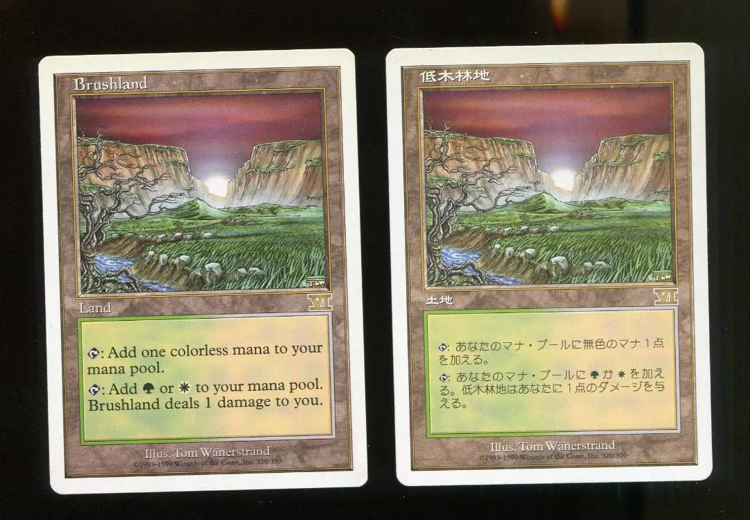 2026年最新】低木林地の人気アイテム - メルカリ