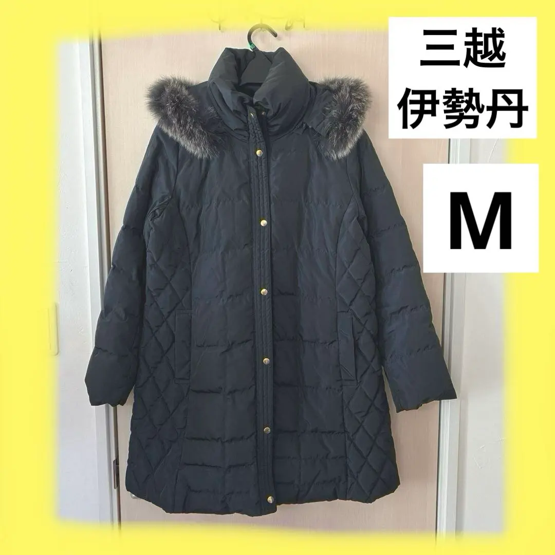 2026年最新】noa-ge ブルーフォックスの人気アイテム - メルカリ