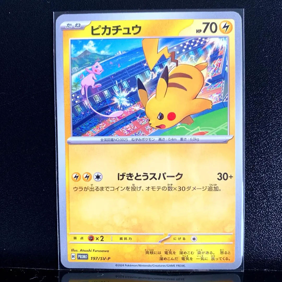 m96169567554_1.jpg?1770786159