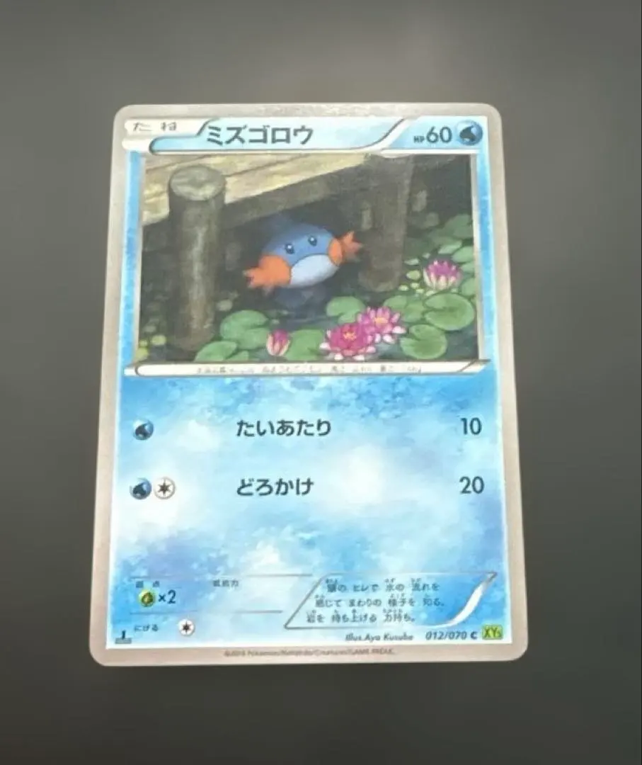 2026年最新】ポケモンカード ミズゴロウ 109/xy-pの人気アイテム