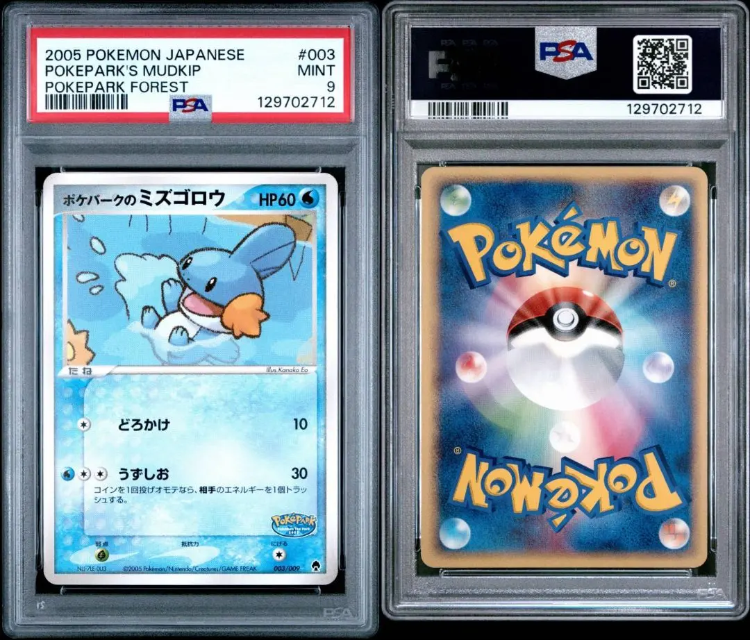 2026年最新】ミズゴロウ psa10の人気アイテム - メルカリ