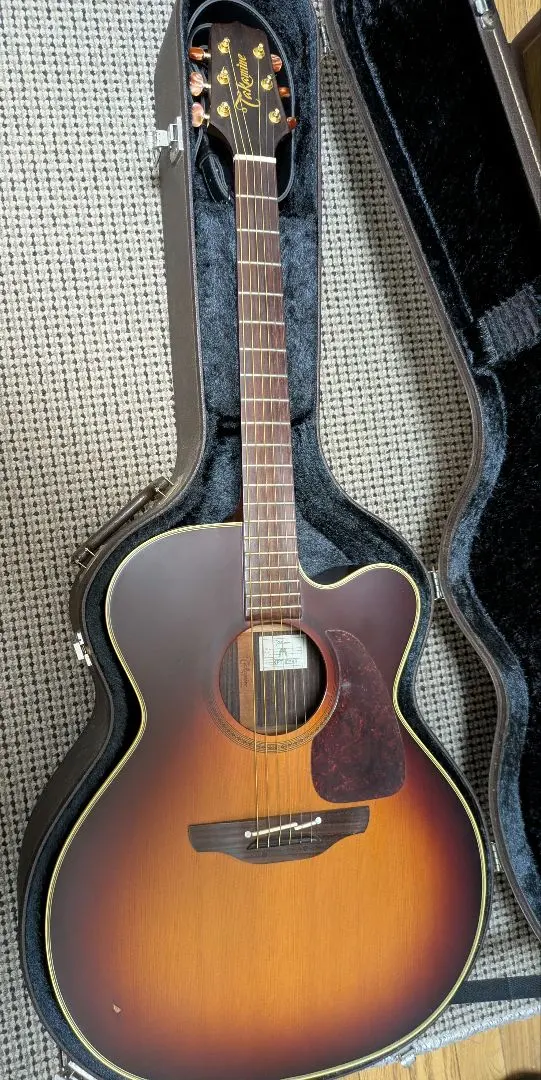 2026年最新】タカミネ ギターコレクションの人気アイテム - メルカリ