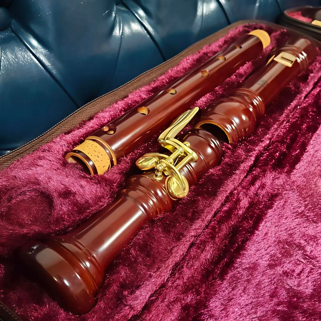 2026年最新】YAMAHA 木製テナーリコーダーの人気アイテム - メルカリ