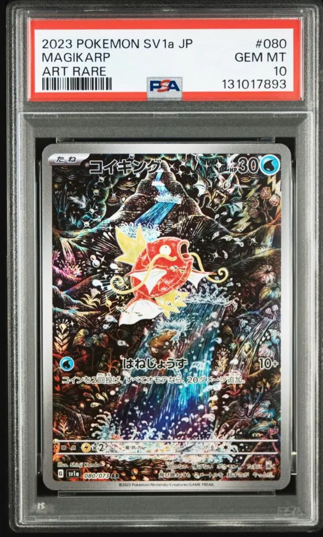 m98348445117_1.jpg?1768259328