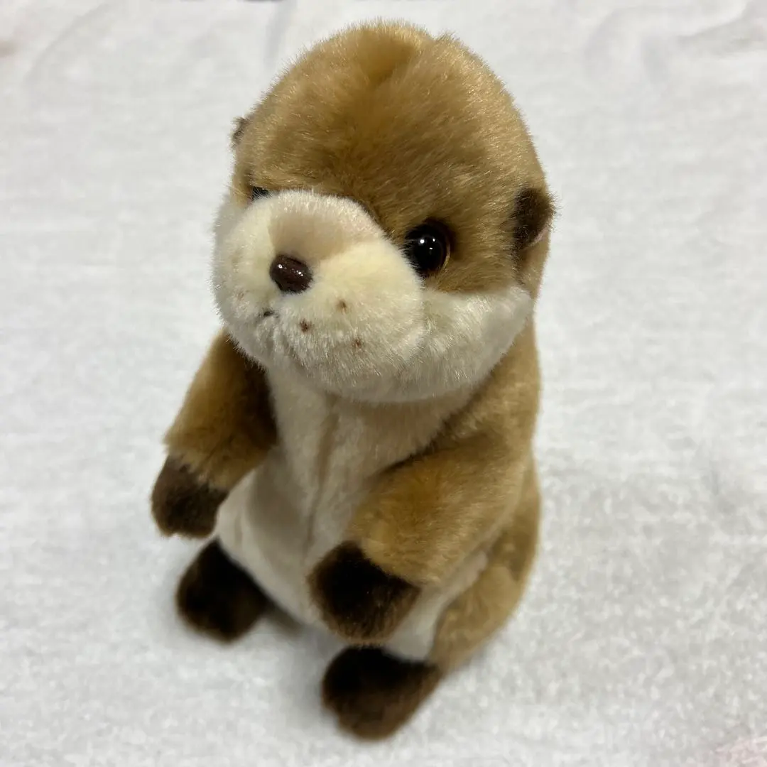 2026年最新】伊勢シーパラダイスの人気アイテム - メルカリ