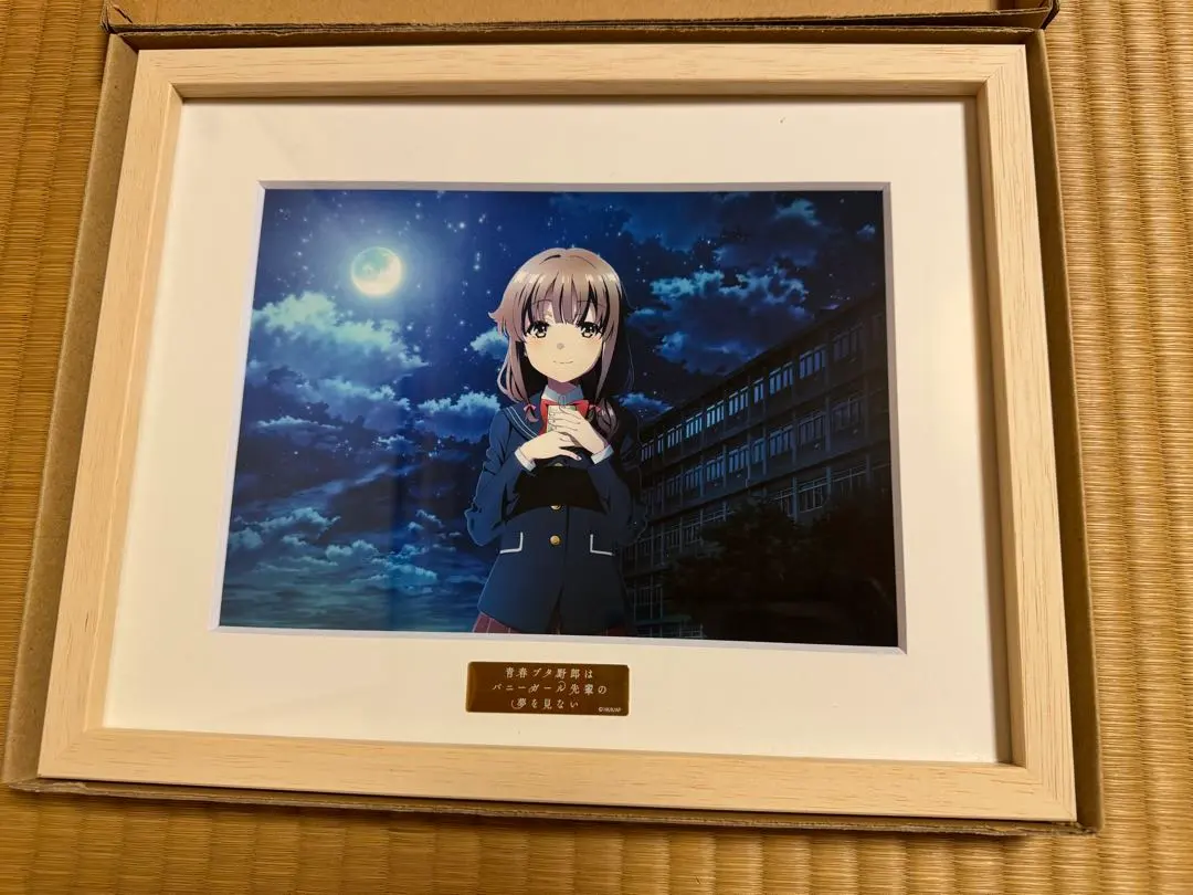 2026年最新】キャラファイングラフ 青ブタの人気アイテム - メルカリ