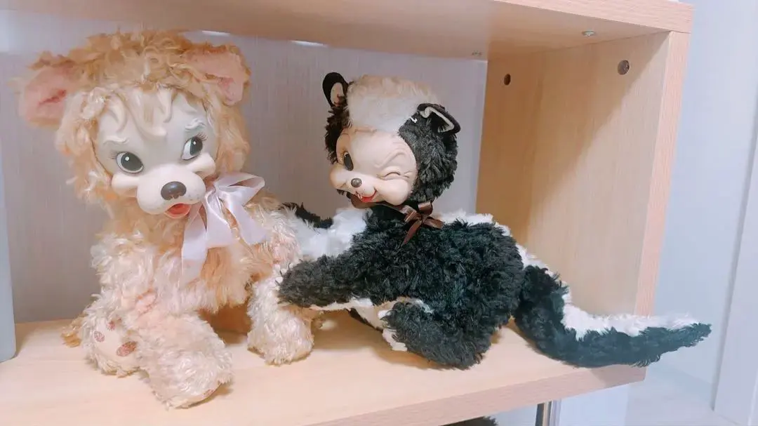 m99712513247_1.jpg?1770491210