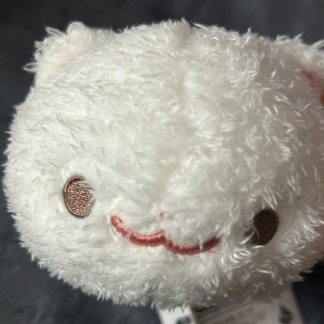 2026年最新】ポメラニアン ぷりぬいの人気アイテム - メルカリ