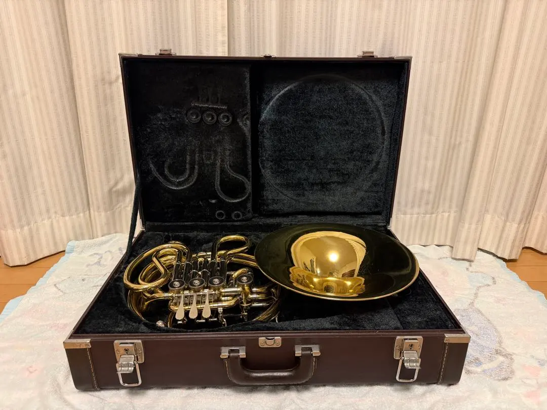 2026年最新】ホルン ケース アレキサンダーの人気アイテム - メルカリ