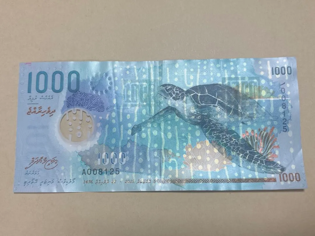 2026年最新】ウミガメのお札の人気アイテム - メルカリ