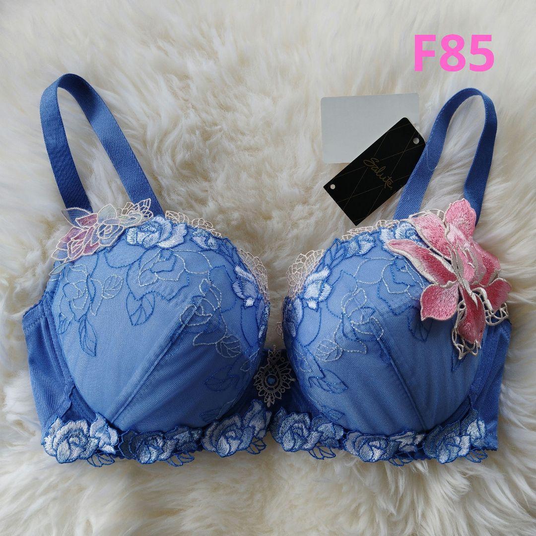 salute サルート　F85　76G　76グループ　LG