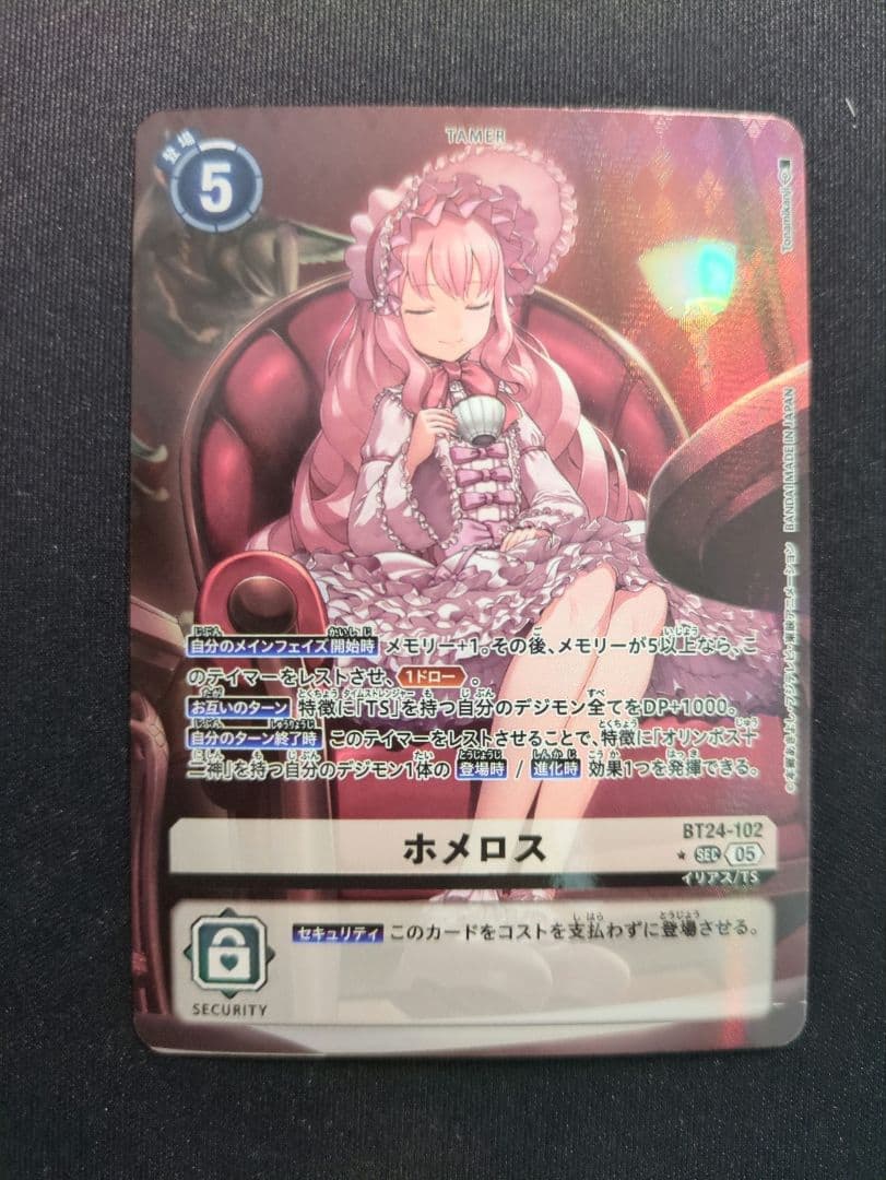 ホメロス　パラレル