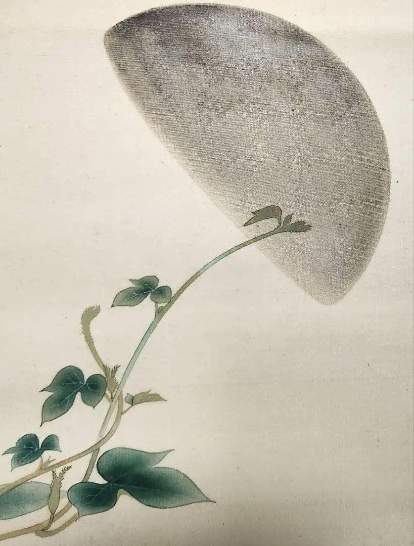 朝顔に半月図】黒田古郷 2612 アサガオと月夜 掛け軸 肉筆 - メルカリ