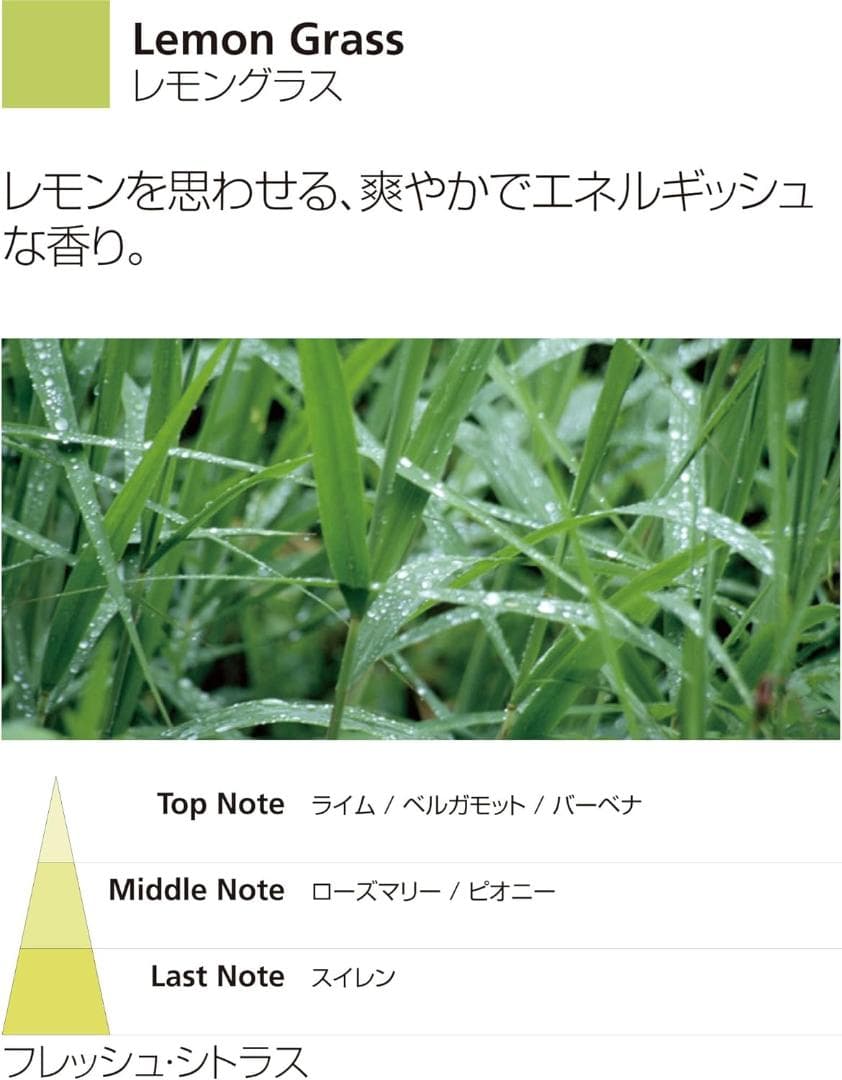 Millefiori フレグランスディフューザー (M) レモングラス - メルカリ