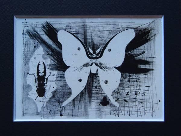 加山又造、蝶と鍬がた、希少画集画、新品額装、状態良好