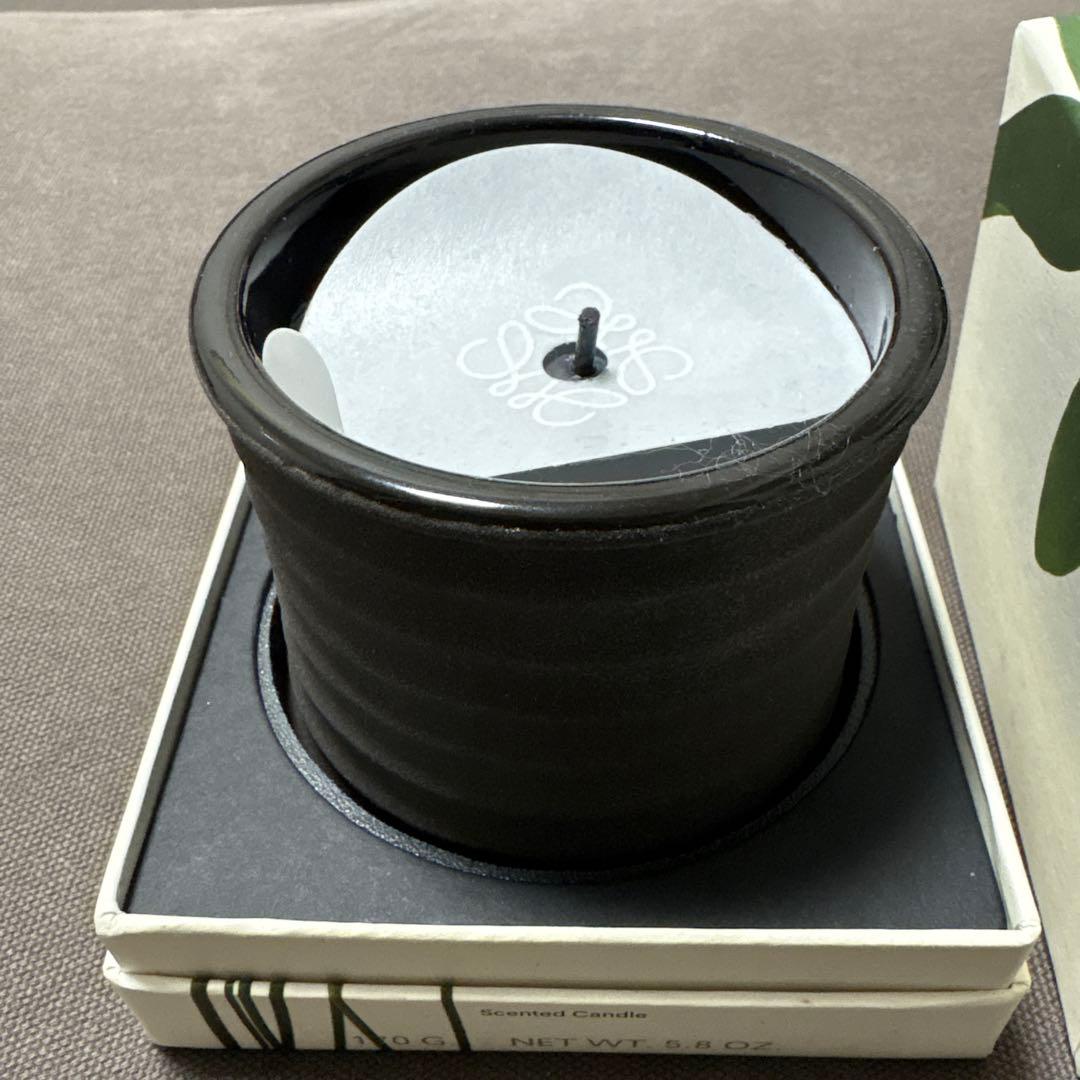 LOEWE Dendrochilum ORCHID キャンドル