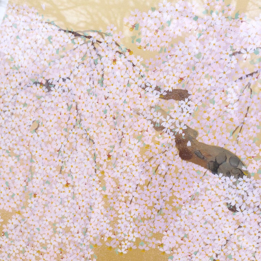 中島千波 「春輝神田の大糸桜」シルクスクリーン 279/350 箱付き