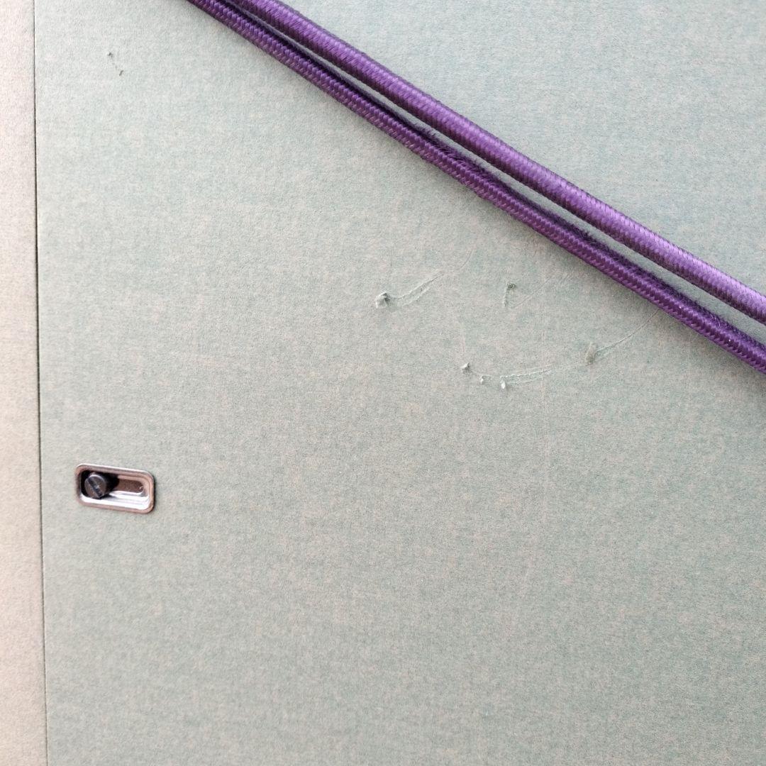 中島千波 「春輝神田の大糸桜」シルクスクリーン 279/350 箱付き