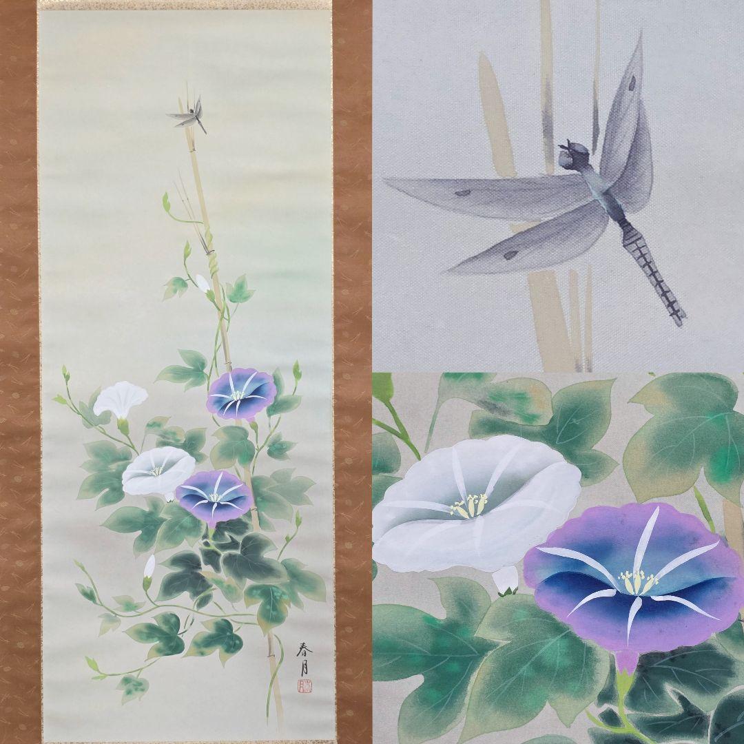 【朝顔に蜻蛉図】山下春月 2723 掛け軸 肉筆 アサガオにトンボ