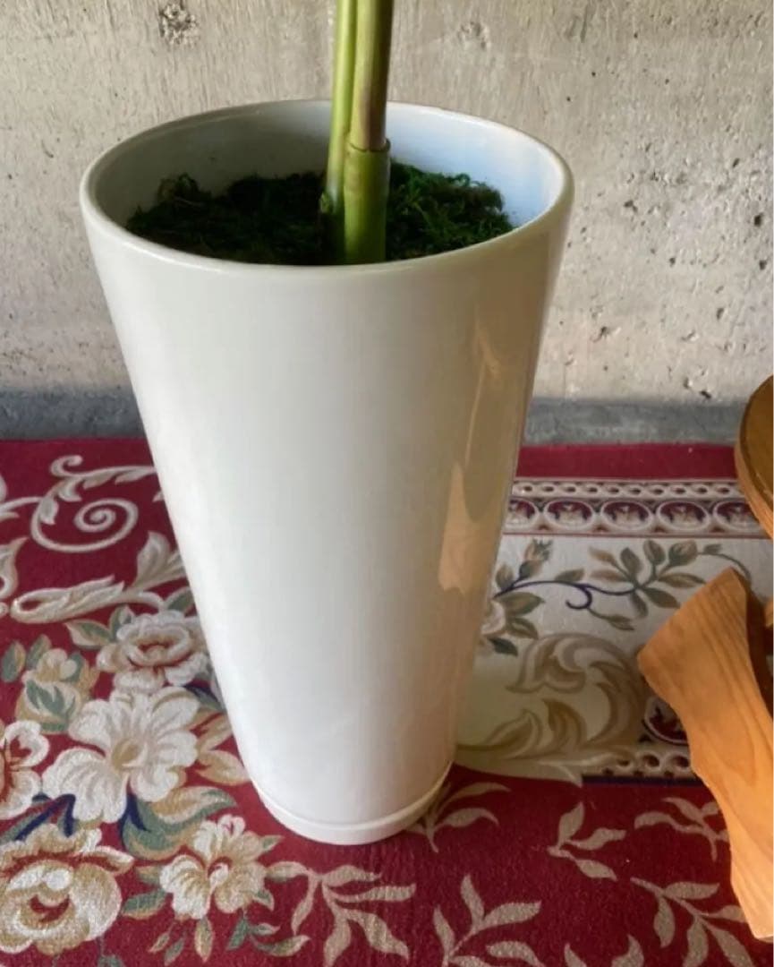 光触媒 人工観葉植物 ウォールグ リーン フェイクグリーン シー