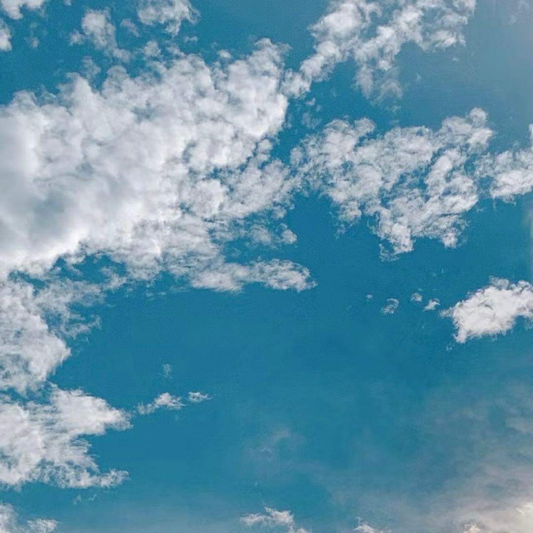 専用 やーした様、専用の商品になります。 Amazon | タミヤ 1/12 マスター