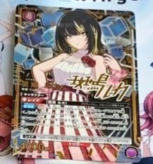 【追跡調査】斑鳩ルカ　☆☆2パラレル　1枚