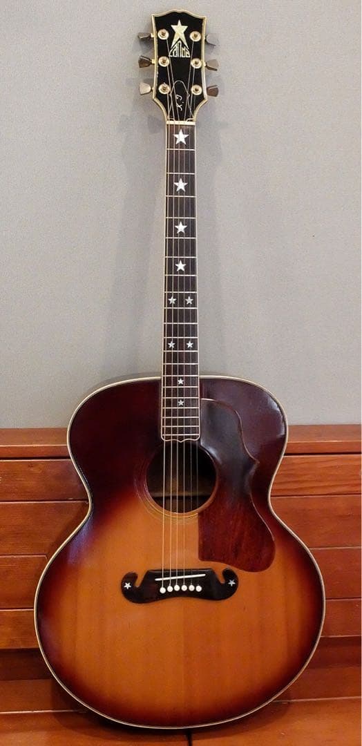 CANDA-404 70年代希少 フジゲン Greco 超爆鳴り