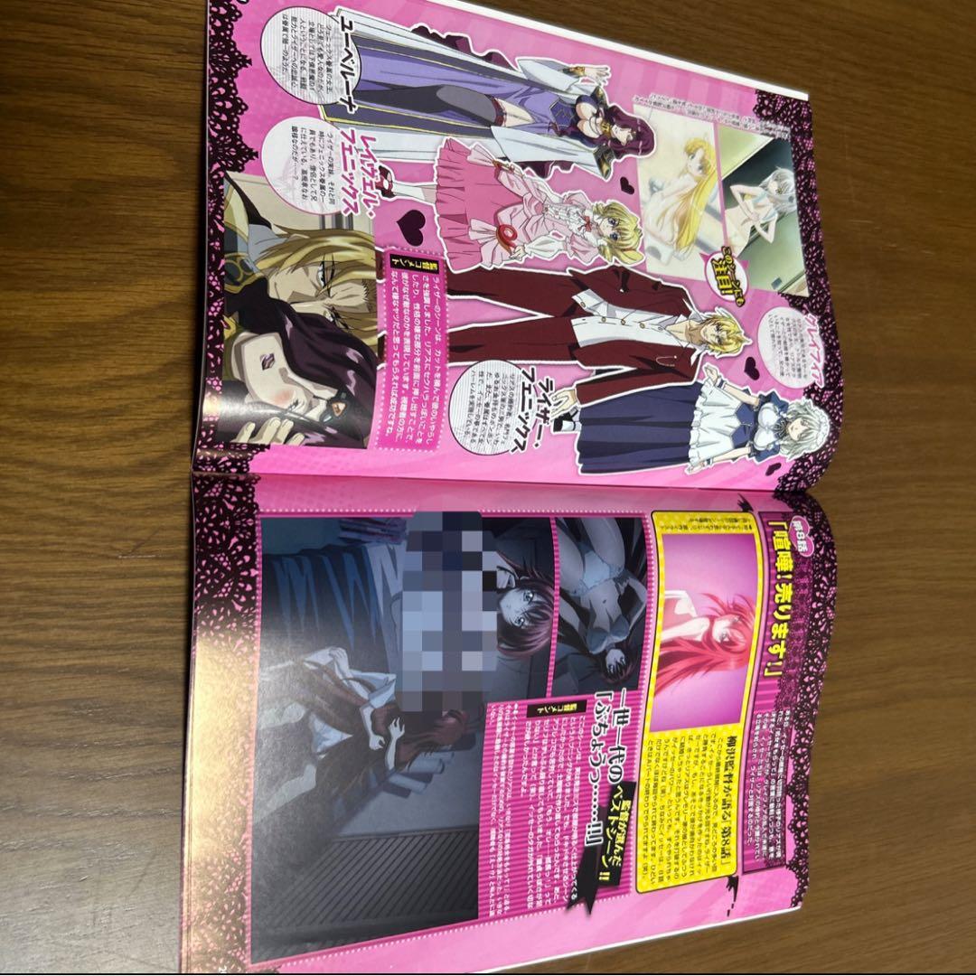 ハイスクールD×D TVアニメまるわかり　どきどきブック【非売品】