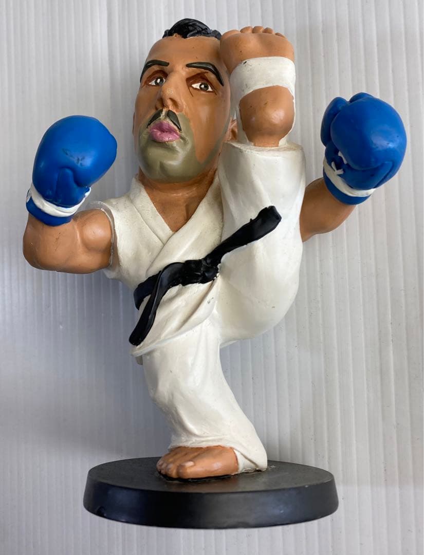 K‐1 アンディ・フグ 直筆サイン色紙 Tシャツ 本(アンディズム) 他