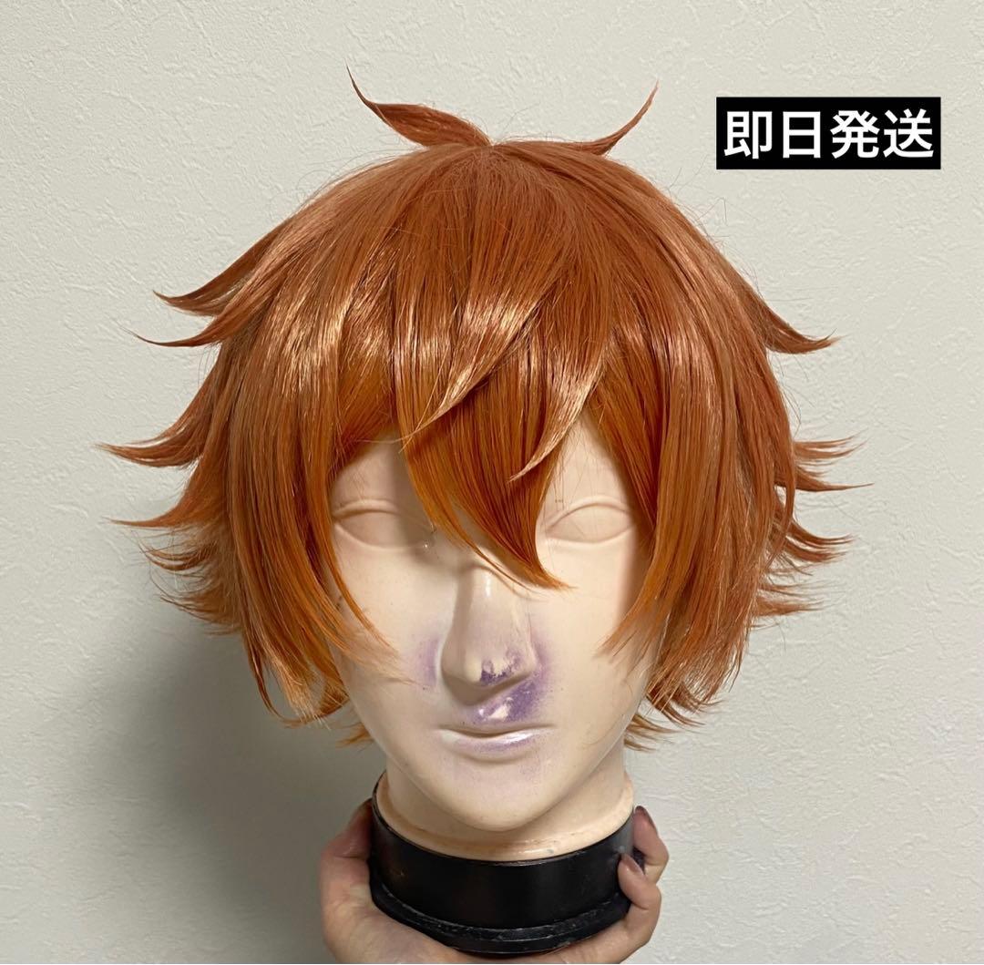 ツイステ エース・トラッポラ コスプレ ウィッグ - メルカリ