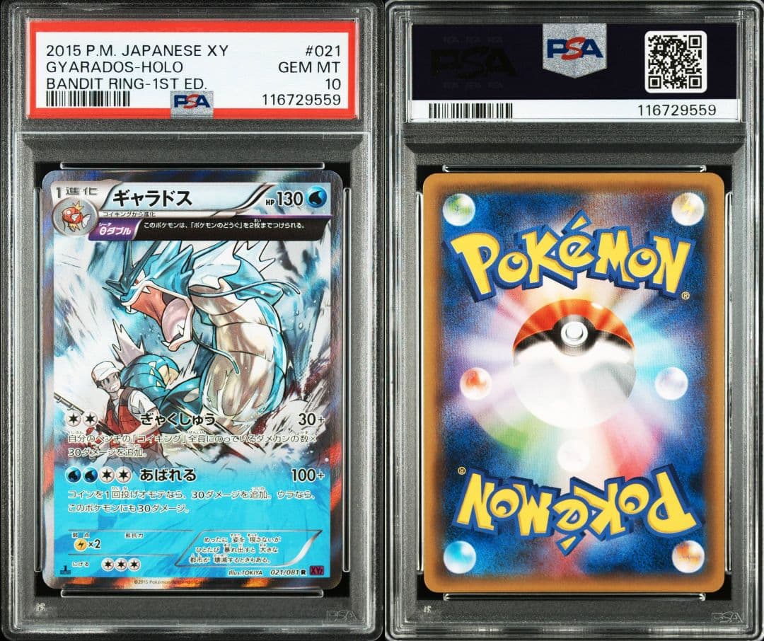 ギャラドス 021 バンデットリング　xy7 psa10 最新ケース Yahoo!オークション -「ギャラドス xy7」の落札相場・落札価格