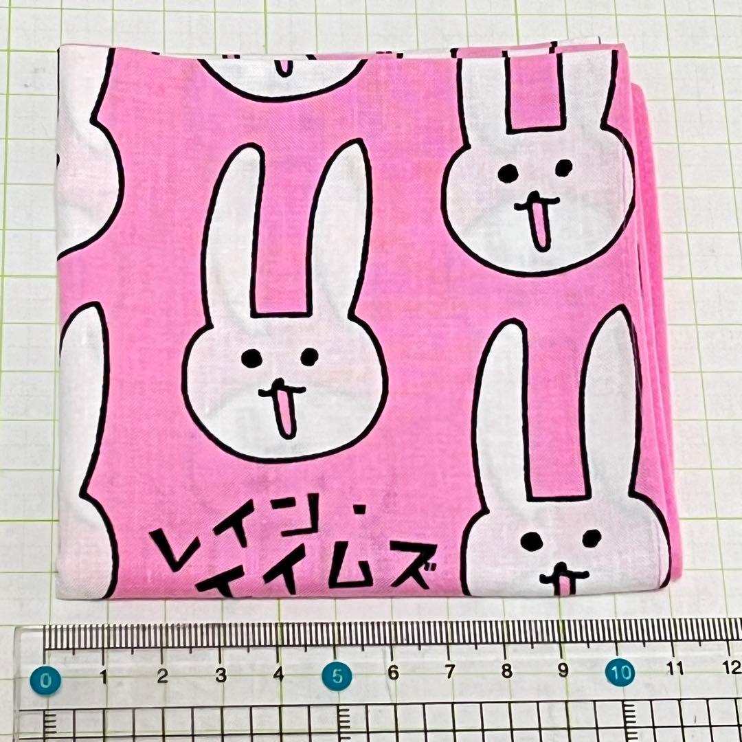 レイン・エイムズ ウサギ 魔法のハンカチ - メルカリ