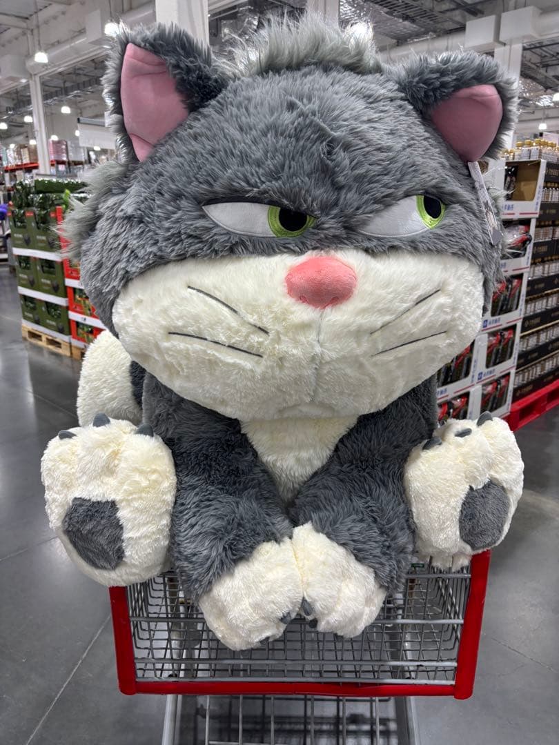 コストコ ルシファー 特大ぬいぐるみ 80cm - メルカリ