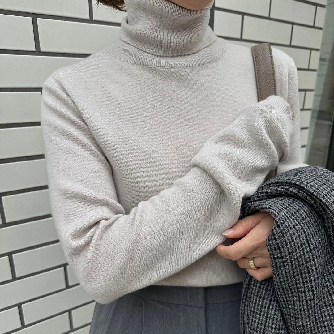 新品Na.e EVER SERIES Turtle Neck Slim Knit