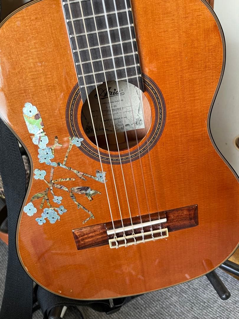 T*i様 値下げ中Aria ミニガット　エレアコ仕様　インレイシール