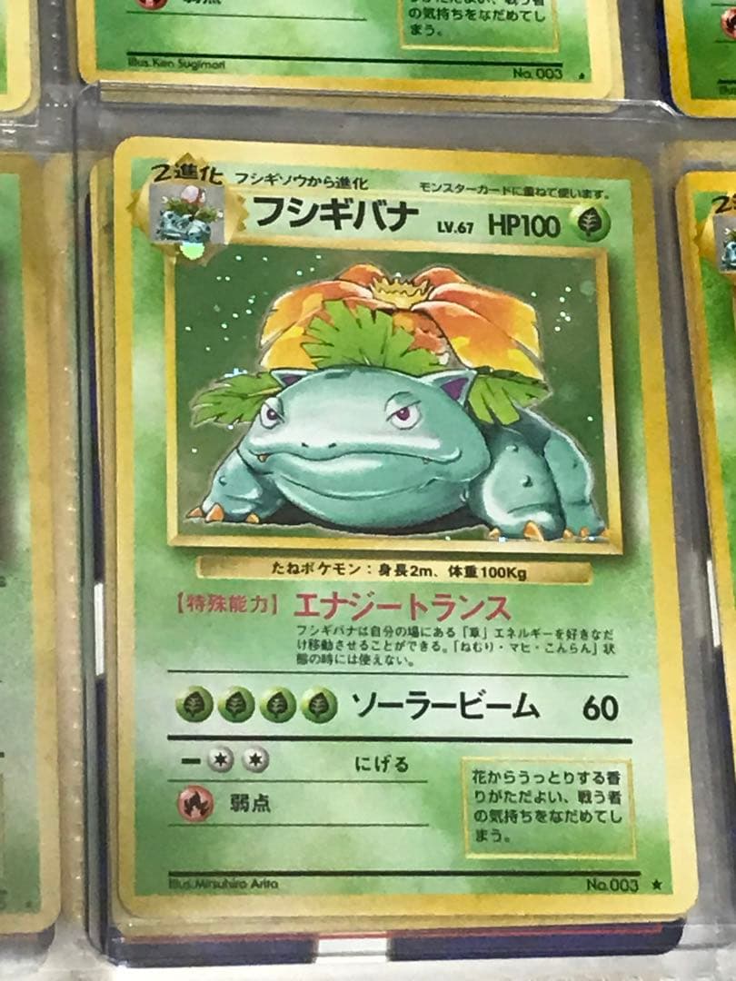 ポケモンカード旧裏　初期フシギバナ