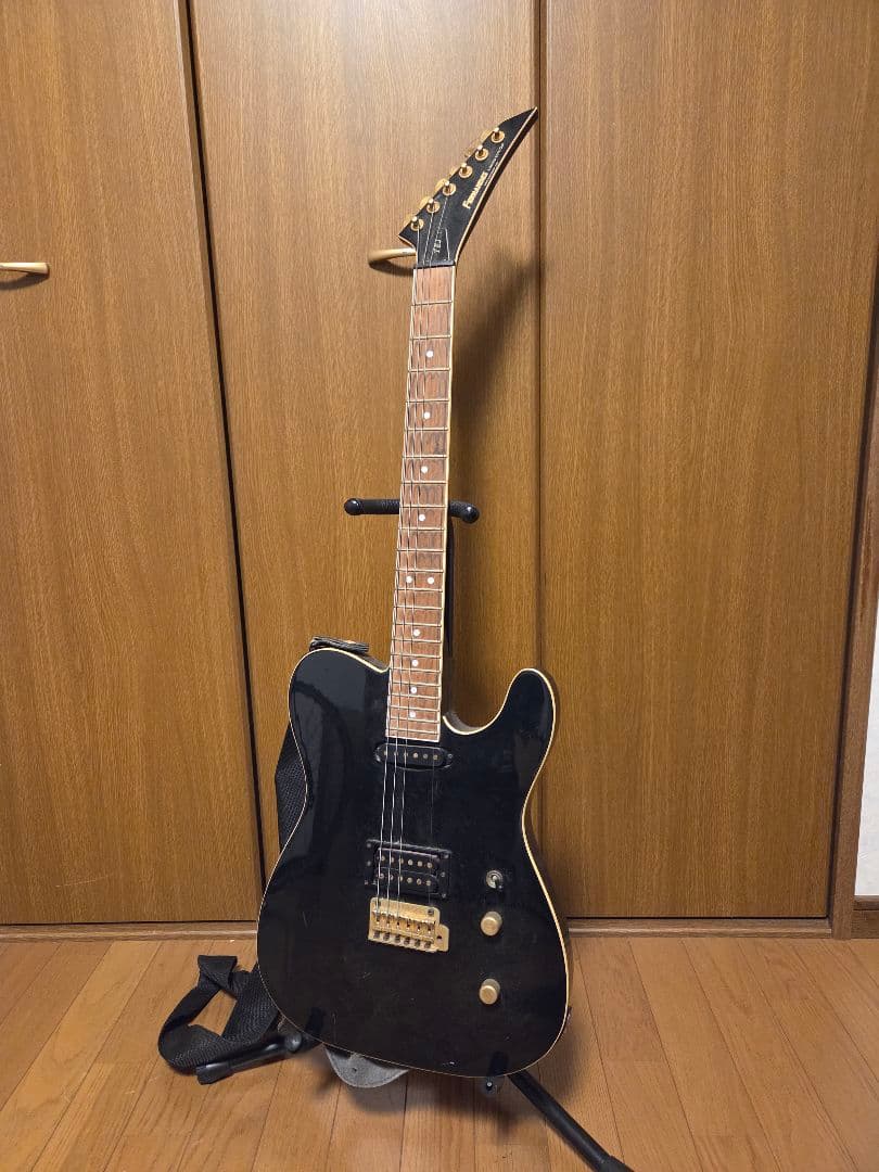 FERNANDES TEJ テレキャス TEJ-55G ジャンク！