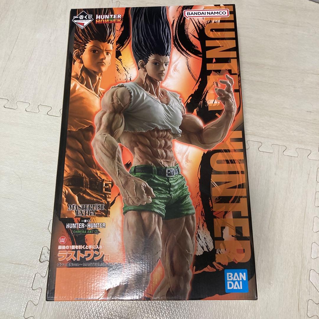 一番くじ HUNTER×HUNTER キメラアント編 ラストワン賞 ゴンさん - メルカリ
