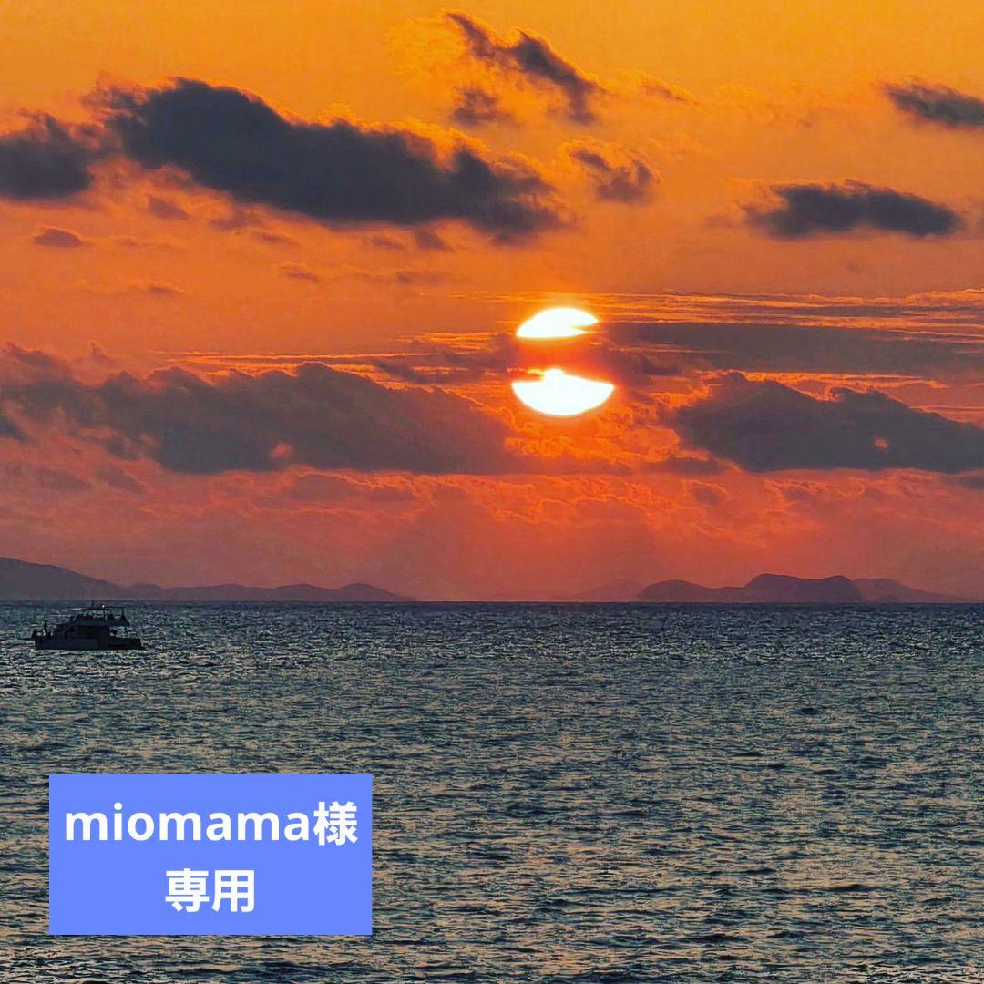 【新品未使用】コアミーエラブシークMS 1000mlgシャンプー&ヘアマスク