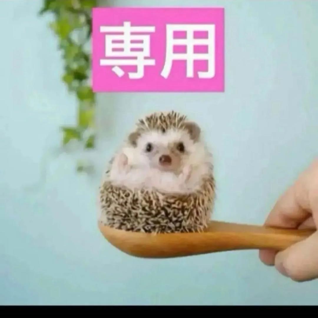 2点、プレミエ、クッション030レフィル