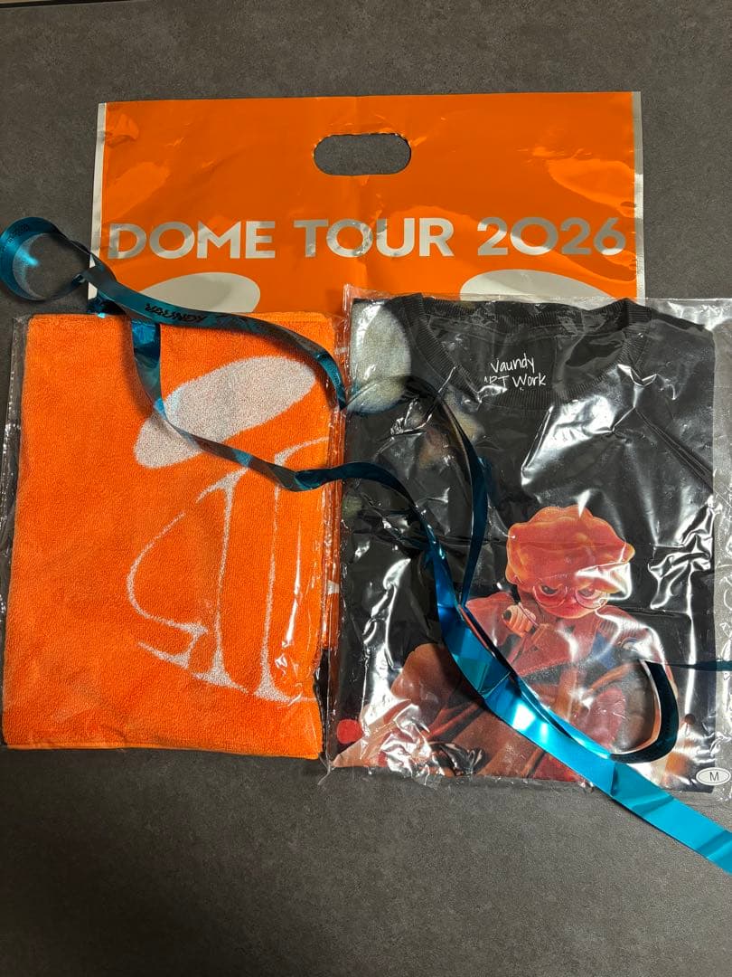 VAUNDY Tシャツ M タオル　ドーム SILENCE 新品未開封