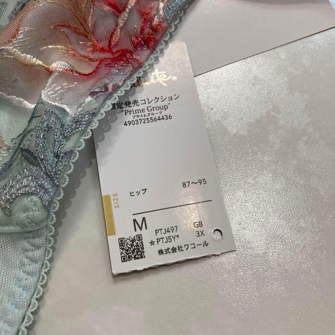 サルート 限定発売コレクション 97G ソング M GB