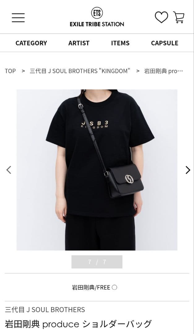 岩田剛典メンプロ 2025 KINGDOM ショルダーバッグ|mercariメルカリ官方
