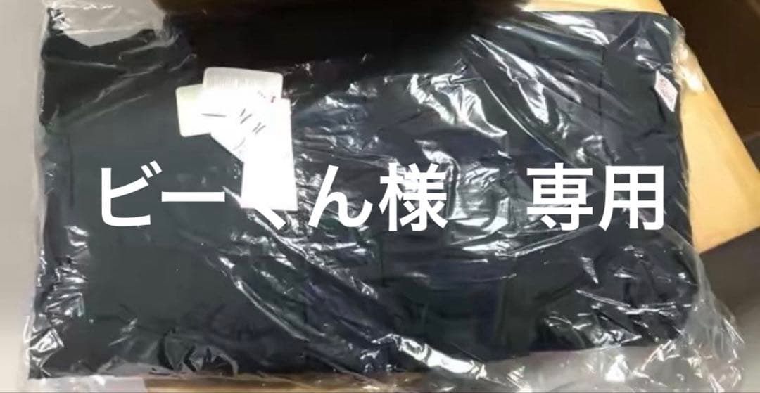 ビーくん　黒　s ZEST2 | Brief Case S A4/14