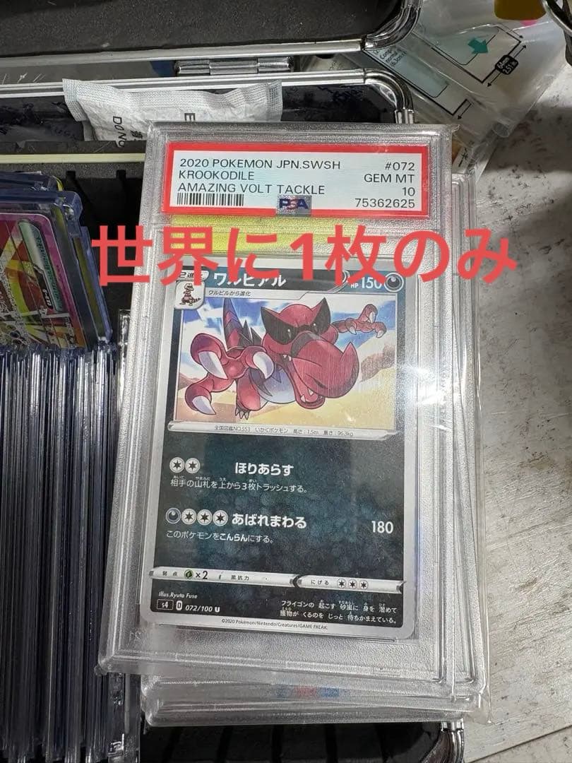ポケカ　世界に1枚のみ　ワルビアル psa10 PSA10】ワルビアル(UR){悪}〈055/050〉[BW5-o]*1ED – 晴れる屋2